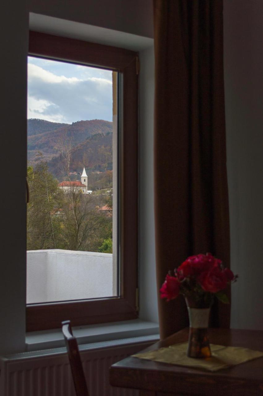 Pensiune Casa Ampeia Алба-Юлія Екстер'єр фото